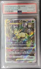 PSA10】エンテイV SAR VSTARユニバース s12a 213/172 Entei Japanese