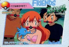 ポケットモンスターアニメコレクション カードダス 123◇タケシ