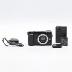 2026年最新】lumix gx7mk2 充電器の人気アイテム - メルカリ