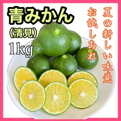 酸っぱい青みかん　1kg  【清見オレンジ】【農薬不使用】【農家直送】のサムネイル