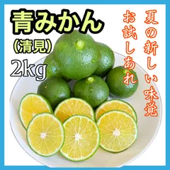 酸っぱい青みかん　2kg  【清見オレンジ】【農家直送】【農薬不使用】のサムネイル