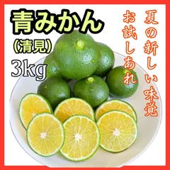 酸っぱい青みかん　3kg  【清見オレンジ】【農家直送】【農薬不使用】のサムネイル