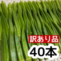 B40 高知県産 オクラ 野菜 産地直送 採れたて 即購入OK  vbgのサムネイル