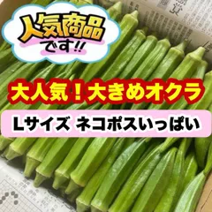 Lサイズ ネコポスいっぱい 高知県産オクラ 野菜 鮮度抜群 お得 oのサムネイル