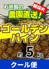 6/20最終】石垣島産ゴールドバレル約3kg - メルカリ