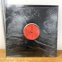ケツメイシ レコード 夏の思い出 太陽 12inch - メルカリ