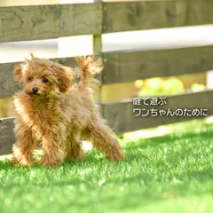 (10m) ◆◆ 인조 잔디 롤 1m x 5m 인조 잔디 매트 [배송비 포함!]DIY 잔디 35mm 인조 잔디 핀, 인조 잔디 25개 포함 도그 테이프 잔디 매트