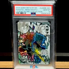 ベジット LC PSA10のサムネイル