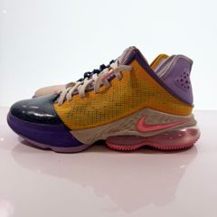Nike レブロン19 Low Hawaii Pink 28cm - メルカリ