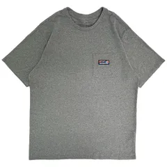 patagonia パタゴニア ポケットＴシャツ アウトドア グレー(メンズ M)中古 古着 Y3816