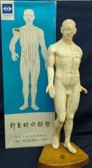 人体模型 経絡 長田式デルマトーム人形 - メルカリ