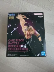 2026年最新】バトルレコードコレクション カタクリの人気アイテム