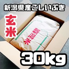 新潟 米 こしいぶき 30㎏ 玄米 送料込み - メルカリ
