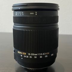 万能ズームレンズ◇SONY DT 18-135mm SAM◇高速AF◇便利な1本 - メルカリ
