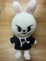 Stray Kids SKZOO リービット ミニ