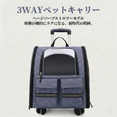 CHANEL シャネル P19919 V11517 セットアップ ジャケット スカート 