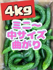 訳ありきゅうり 2kg 農家直送 新鮮＊愛媛県産 - メルカリ