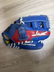 33年前 支給品 ヤクルトスワローズ 池山隆寛直筆サイン入りグローブ