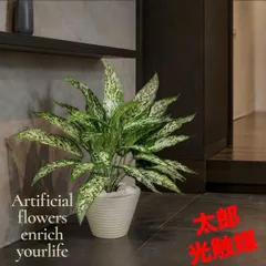 光触媒 人工観葉植物 ウォールグリーン フェイクグリーン アグラオネマ 