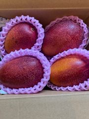 訳あり宮崎完熟マンゴー9玉約5kg - メルカリ