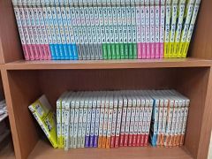 57冊セット】マジックツリーハウス 1巻〜50巻 全巻、探検ガイド7冊