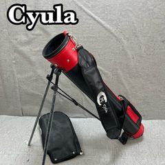 テーラーメイド R11 メンズゴルフ アイアンセット 6本 S 右利き用