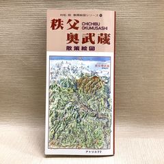 銀座グラフィックマップ (鳥瞰図) - メルカリ