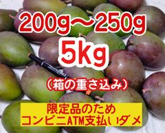 マンゴー+摘果/16.5kg including box/コンビニ/ATM ❌️ 摘果 未熟 加工用 マンゴー/ 約1.1㎏〈約50g～90g〉 - メルカリ