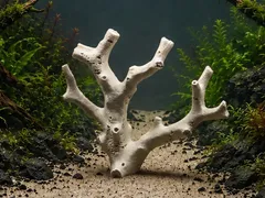 3Dプリント樹脂製珊瑚②　アクアリウム　置物　テラリウム装飾ディスプレイのサムネイル
