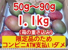 摘果マンゴー 10kg 加工用 青マンゴー アーウィン品種 - メルカリ
