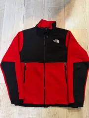 キッズ XL THE NORTH FACE ザノースフェイス キッズ タートルネック デナリ フリースのサムネイル