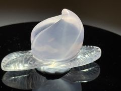 バカラ ノーチラス オウムガイ 置物 フィギュアリン - メルカリ