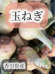 玉ねぎ 9kgのサムネイル