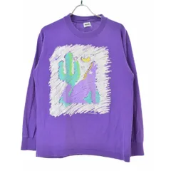 【ANVIL】90s USA製 Texas Chic長袖Tシャツのサムネイル