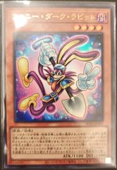 遊戯王 ファニー・ダーク・ラビット シークレット - メルカリ