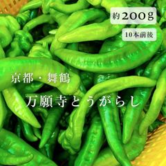 特別栽培】沖縄県産良品 激辛青唐辛子ホットパラソル200g⭐️12時間