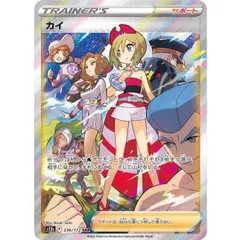 【SR】カイ(S12a 236/172)｜Aのサムネイル