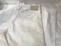 AG  THE  DYLAN Slim Skinny  エージージーンズ　ザ　ディラン　スリムスキニーのサムネイル