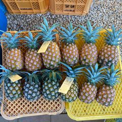 沖縄県宜野座村産スナックパイン10kgご自宅用 - メルカリ
