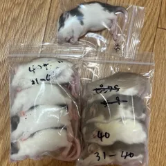 프로즌 랫 40 사이즈