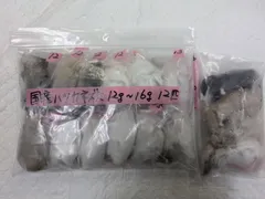 국내산 냉동 생쥐 12g-16g