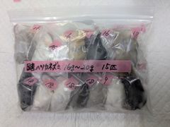 国産冷凍マウス16g-20g 15匹 - メルカリ