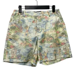 DSQUARED2 ディースクエアード 品番 S72MU0270 ハワイアン柄 ショーツ ショートパンツ サイズ 38 正規品 / B6787のサムネイル