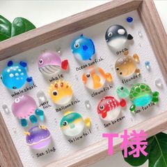 クーポンあり❣️ウミウシ図鑑9種❣️シーグラスアート お魚立体図鑑