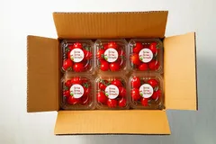 【今だけ！お試し価格！！】甘み・酸味・旨みのバランスにこだわったケンちゃんファームのミニトマト「トマトマトマト」（900g・150g×6）のサムネイル