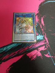 遊戯王 ウィッチクラフト・サボタージュ シークレット 未開封 YCSJ