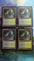 溢れかえる岸辺 4枚セット 中国語 多言語 旧枠 MH3 MTG 溢れかえる岸辺 4枚セット 中国語 多言語 旧枠 MH3 MTG - メルカリ