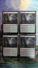 MTG 吹きさらしの荒野/Windswept Heath 4枚セット - メルカリ