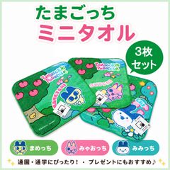 最終お値下げ中！本日限定♡︎ʾʾウォーターチャレンジ ♡︎ʾミニタオル