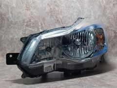 HIDライトトラップ サーチライトタイプ55W 紫外線放出加工済み